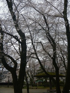 DSCN3486