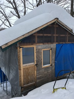 IMG-4489