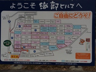 photo-2