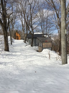 IMG-4540