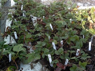 P2011_1113_144727