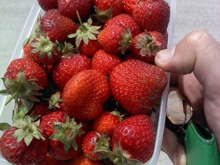 P2011_0525_103038