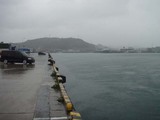 港