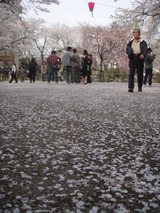 f2bc070d.JPG