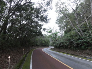 DSC02405