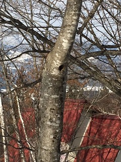 IMG-4544